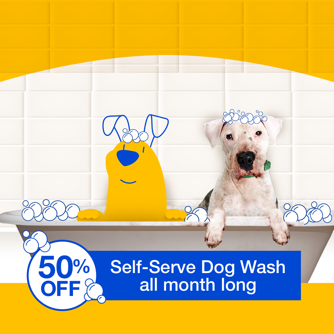 Pet supermarket self serve dog sales wash cost